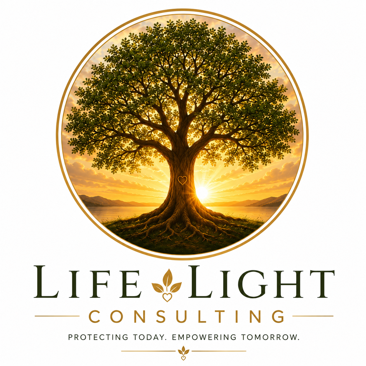 Life Light Insurance